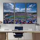 Air Force Falcons Football Team Print - Colorado Springs