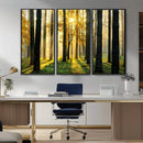Sunlit Forest Wall Art Canvas Print – Large Framed Woodland