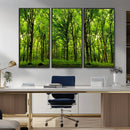 Lush Green Forest Canvas Print | 3-Panel Forest Wall Art |