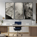 Elephant Wall Art Canvas Print