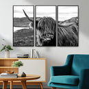 Longhorn Steer Canvas Print Wall Art, Highland Cow Canvas by MyGreatCanvas | Canvas Wall Art Prints | Photo Prints & Wall Decor