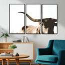 Texas Longhorn Wall Art Canvas Print | 3-Panel Large