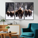 Bison Wall Art Canvas Print- Bison Herd Canvas Wall Art –