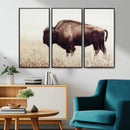 Bison in Field Wall Art Canvas Print For Farmhouse Barn
