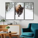 Bison Wall Art Canvas Print For Farmhouse, Animal Canvas