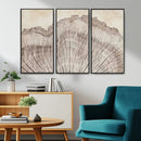 Tree Ring Wall Art Triptych, Rustic Wood Ring Canvas Print,
