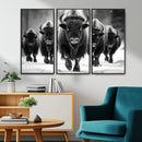American Bison Art | Buffalo Herd Wall Art Canvas Print, BW