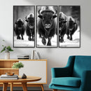 American Bison Art | Buffalo Herd Wall Art Canvas Print, BW