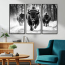 Buffalo Wall Art Canvas Print, Bison Family Wall Art Canvas by MyGreatCanvas | Canvas Wall Art Prints | Photo Prints & Wall Decor
