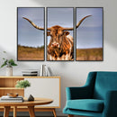Texas Longhorn Wall Art Print, Framed Longhorn Cow Wall Art