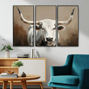 White Longhorn Bull Wall Art Canvas Print – Framed and Ready