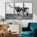 Texas Black White Highland Longhorn Cow Wall Art Canvas by MyGreatCanvas | Canvas Wall Art Prints | Photo Prints & Wall Decor