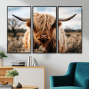 Scottish Cow Longhorn Wall Art Canvas Print