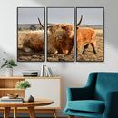 Highland Cow Canvas Wall Art Animal Print for Farm House