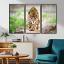 Leopard on the Prowl - Stunning Large Framed Leopard Wall