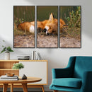Sleeping Fox Wall Art Canvas Print, Farmhouse Wall Decor and