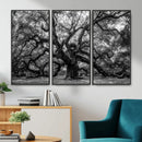 Black and White Old Angel Oak Tree Wall Art Canvas Print
