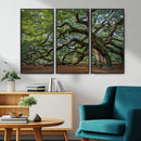 Historic Tree Wall Art – Framed Mossy Branch Canvas Artwork, by MyGreatCanvas | Canvas Wall Art Prints | Photo Prints & Wall Decor