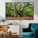 Majestic Oak Tree Wall Art Canvas Print – Ancient Branches by MyGreatCanvas | Canvas Wall Art Prints | Photo Prints & Wall Decor