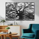 Ancient Oak Wall Art Canvas Print – Gnarled Tree Twisted by MyGreatCanvas | Canvas Wall Art Prints | Photo Prints & Wall Decor
