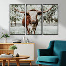 Texas Longhorn Wall Art Canvas Print – Framed Spotted Bull