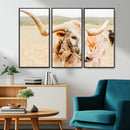 Texas Longhorn Wall Art Canvas Print – Framed Spotted Cow