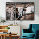 Texas Longhorn Wall Art Canvas Print – Framed Spotted Bull