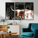Texas Longhorn Wall Art Canvas Print – Framed Spotted Bull