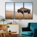 Wild Bison Wall Art – Framed Prairie Landscape Canvas by MyGreatCanvas | Canvas Wall Art Prints | Photo Prints & Wall Decor