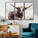 Texas Longhorn Wall Art – Framed Spotted Bull Canvas by MyGreatCanvas | Canvas Wall Art Prints | Photo Prints & Wall Decor