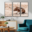 Texas Longhorn Wall Art – Framed Resting Bull Canvas by MyGreatCanvas | Canvas Wall Art Prints | Photo Prints & Wall Decor