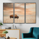 MyCanvas -