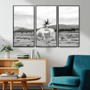 White Horse Wall Art Canvas Print – Framed Woman Rider