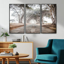 Cypress Tunnel Wall Art – Framed Misty Road Canvas Artwork, by MyGreatCanvas | Canvas Wall Art Prints | Photo Prints & Wall Decor