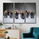 Bison Herd Wall Art Canvas Print, Framed Rustic Wildlife by MyGreatCanvas | Canvas Wall Art Prints | Photo Prints & Wall Decor