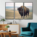 Bison Wall Art Canvas Print – Framed Buffalo American Bison