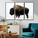 Bison Wall Art Canvas Print – Framed Western Wildlife
