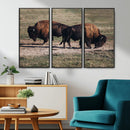 Bison Wall Art Canvas Print – Framed Western Wildlife Modern by MyGreatCanvas | Canvas Wall Art Prints | Photo Prints & Wall Decor