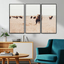 Bison Herd Wall Art Canvas Print – Framed Western Prairie