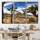 Joshua Tree Desert Wall Art Canvas Print – Framed