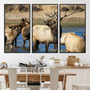 Wild Elk Wall Art Canvas Print – Framed Neutral Wildlife