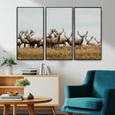 Elk Herd Wall Art Canvas Print – Framed Wildlife Photography