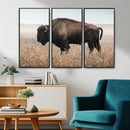 American Bison Wall Art Canvas Print – Majestic Buffalo