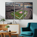 Chicago Bears Soldiers Field Wall Art Canvas Print – Framed