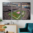 Chicago Bears Soldiers Field Wall Art Canvas Print – Framed