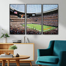 Chicago Bears Soldiers Field Wall Art Canvas Print – Framed
