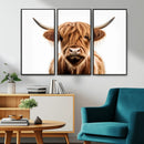 Scottish Highland Cow Canvas Print, Framed Highland Cow