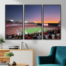 Dooley Stadium Wall Art, Sports Arena Canvas Print, Dooley