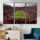 Tennessee Neyland Stadium Wall Art, Sports Arena Canvas by MyGreatCanvas | Canvas Wall Art Prints | Photo Prints & Wall Decor
