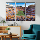 Tennessee Neyland Stadium Wall Art, Sports Arena Canvas by MyGreatCanvas | Canvas Wall Art Prints | Photo Prints & Wall Decor